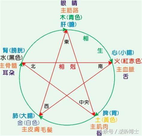 自己的屬性|五行屬性解惑秘笈，教你輕鬆辨別你的命理本色